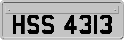 HSS4313