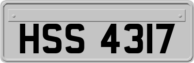 HSS4317