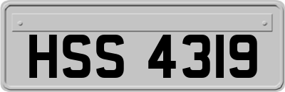 HSS4319