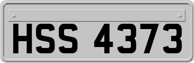 HSS4373