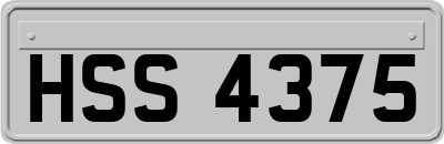 HSS4375