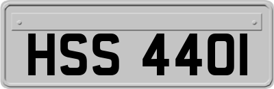 HSS4401