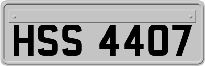 HSS4407