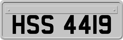HSS4419