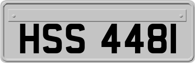 HSS4481