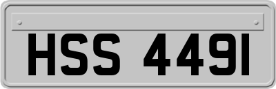 HSS4491
