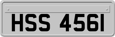 HSS4561