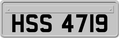 HSS4719