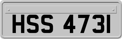 HSS4731
