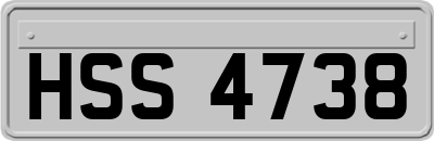 HSS4738