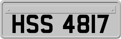 HSS4817
