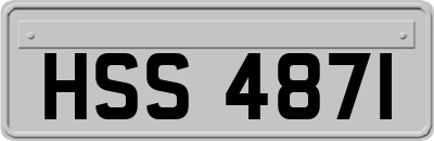 HSS4871