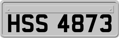 HSS4873