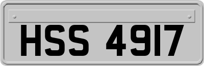 HSS4917