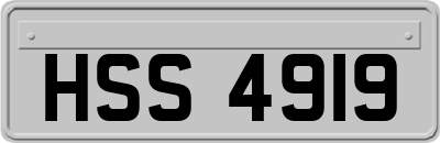 HSS4919
