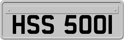 HSS5001