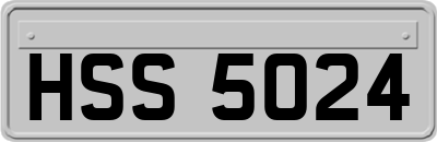 HSS5024