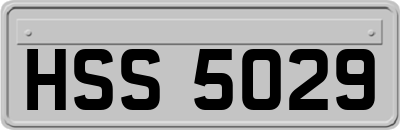 HSS5029