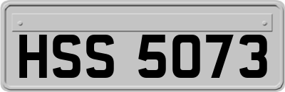 HSS5073
