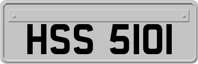 HSS5101
