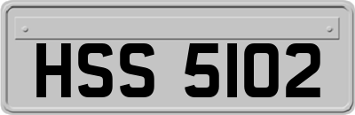 HSS5102