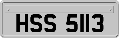HSS5113