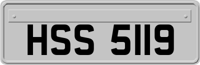 HSS5119