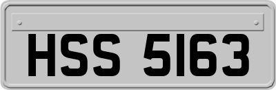 HSS5163