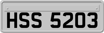 HSS5203