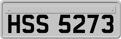 HSS5273