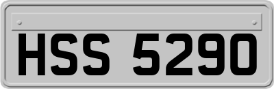 HSS5290