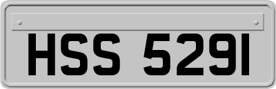 HSS5291