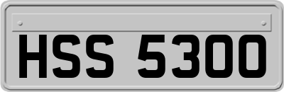 HSS5300