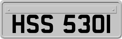 HSS5301
