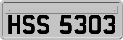 HSS5303