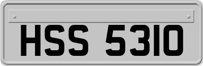 HSS5310