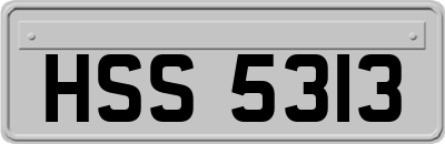HSS5313
