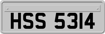 HSS5314