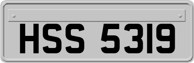 HSS5319