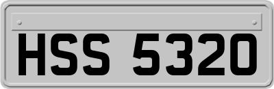 HSS5320