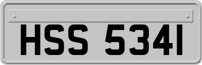 HSS5341