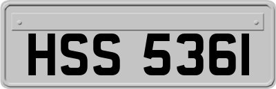 HSS5361