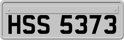 HSS5373