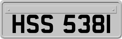HSS5381
