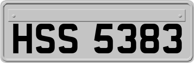 HSS5383
