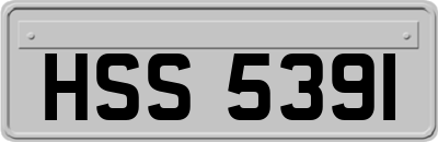 HSS5391