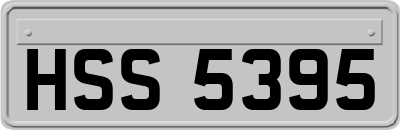 HSS5395