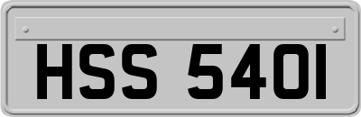 HSS5401