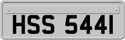 HSS5441
