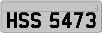 HSS5473